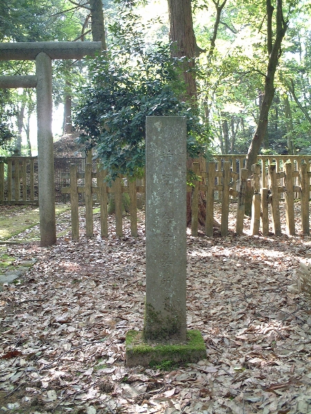 2003-05-05_xx-n077.jpg