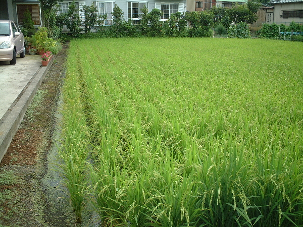 2003-08-10_10-59-49.jpg