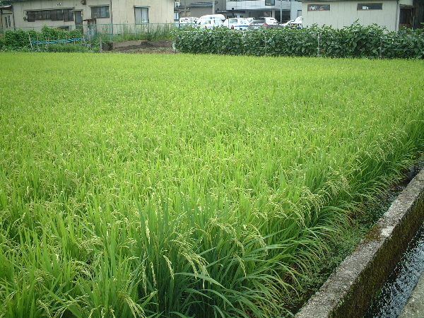 2003-08-10_10-59-59.jpg
