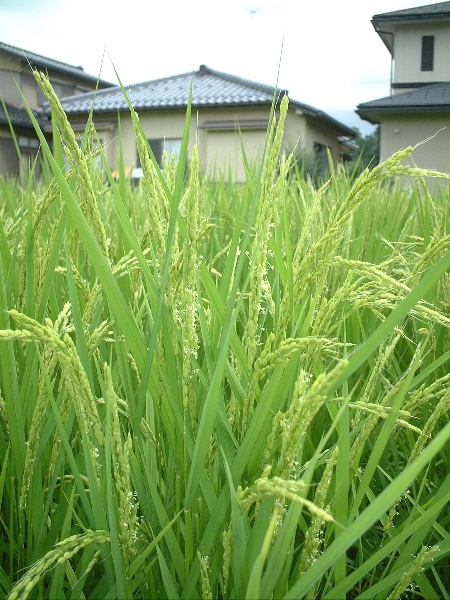 2003-08-10_10-xx-02.jpg