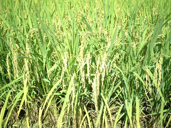 2003-08-23_14-40-19.jpg