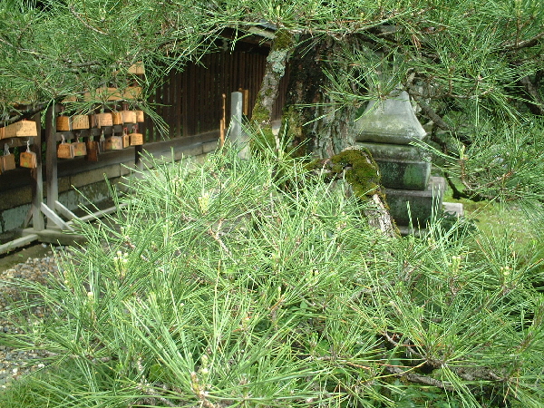 2002-05-08_13-54-31.jpg